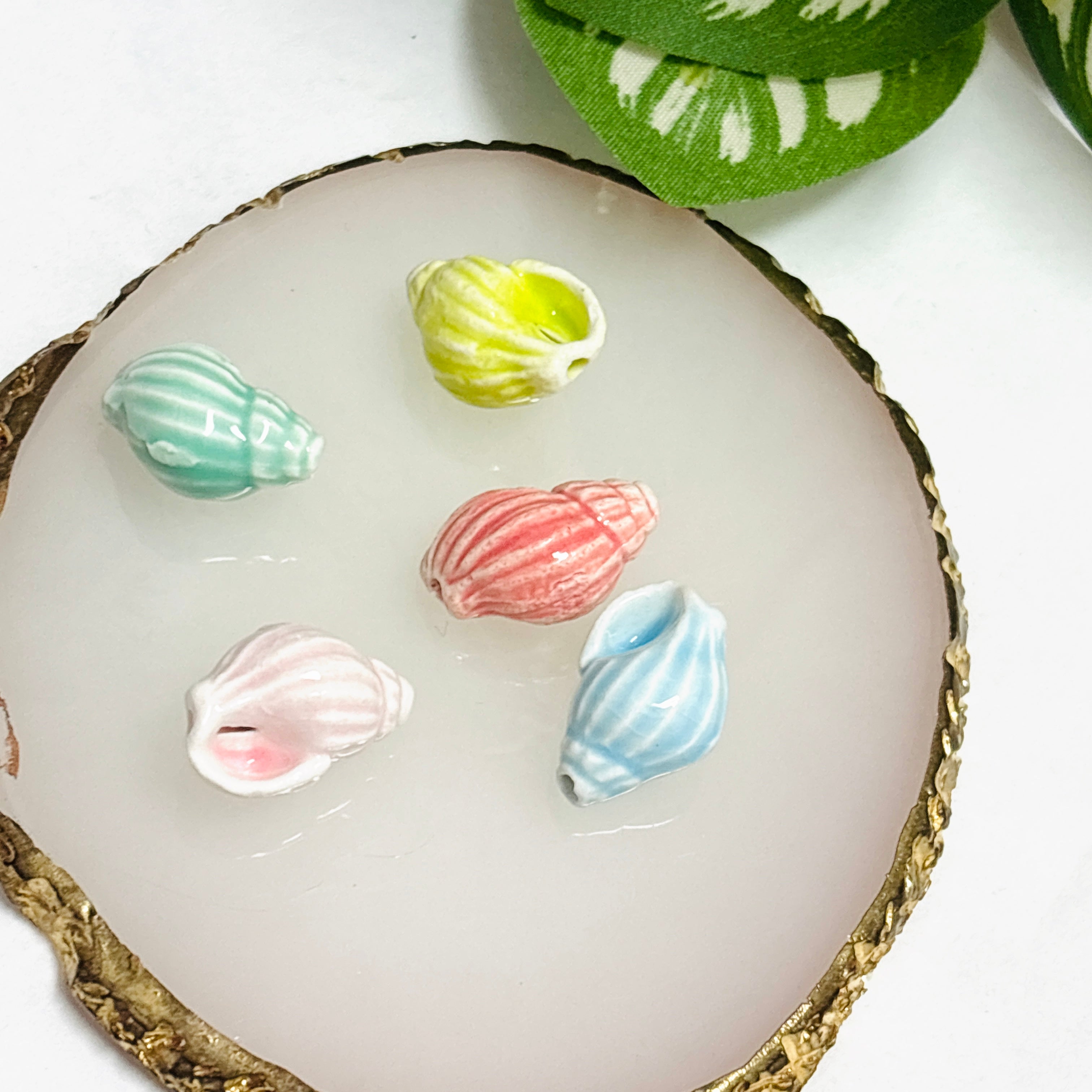 Caracol porcelana