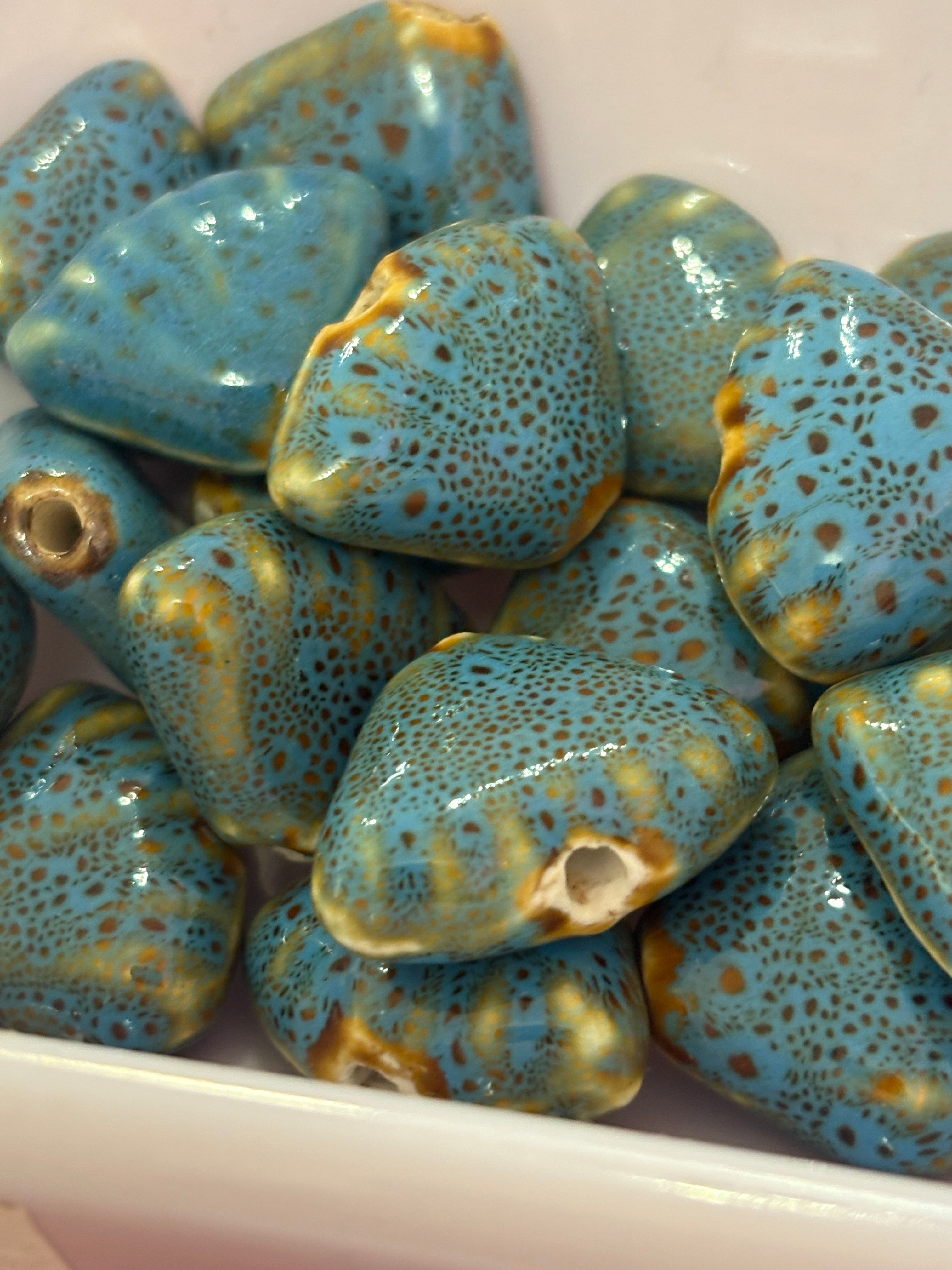 Concha porcelana
