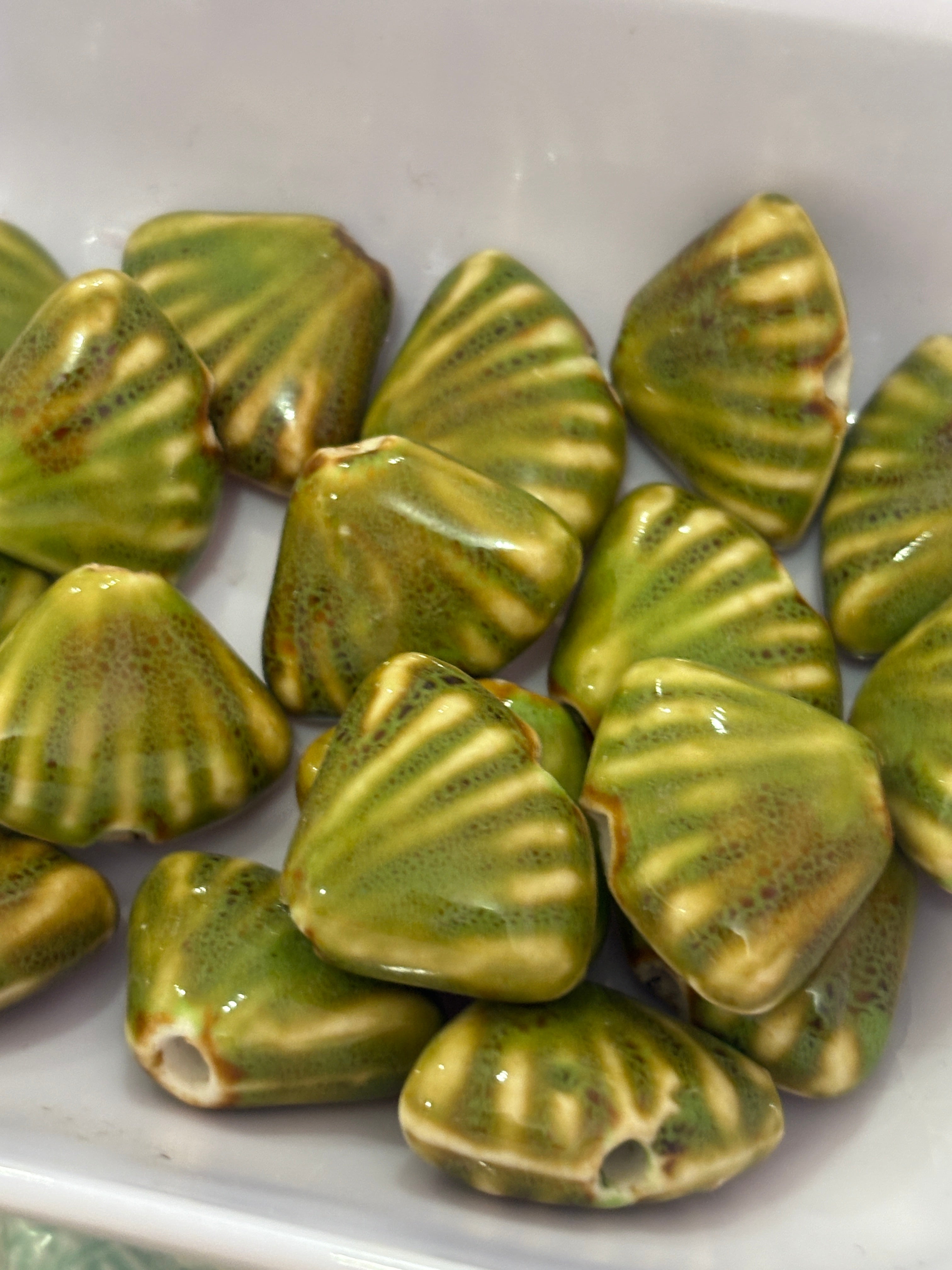 Concha porcelana