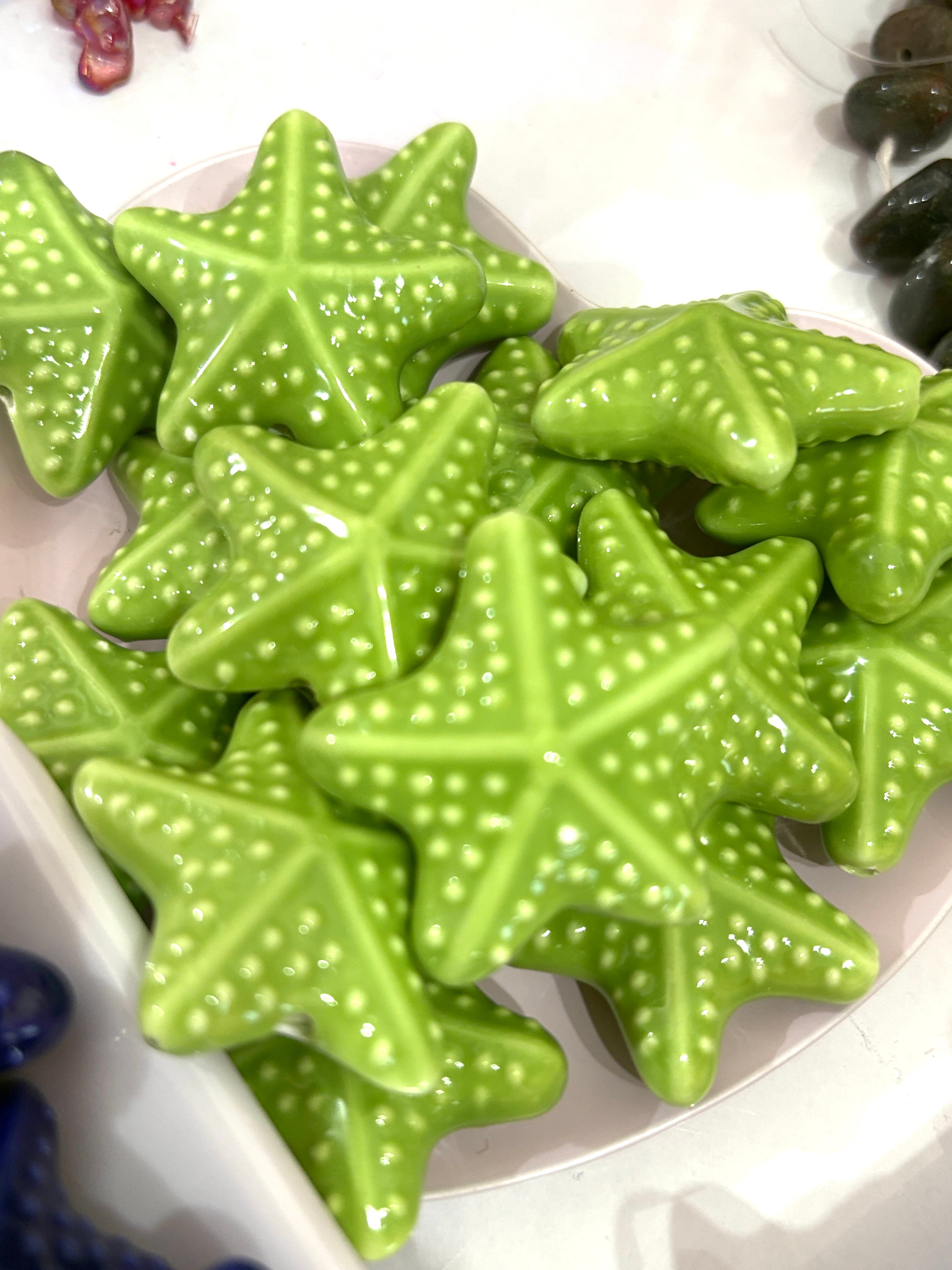 Estrella de mar porcelana