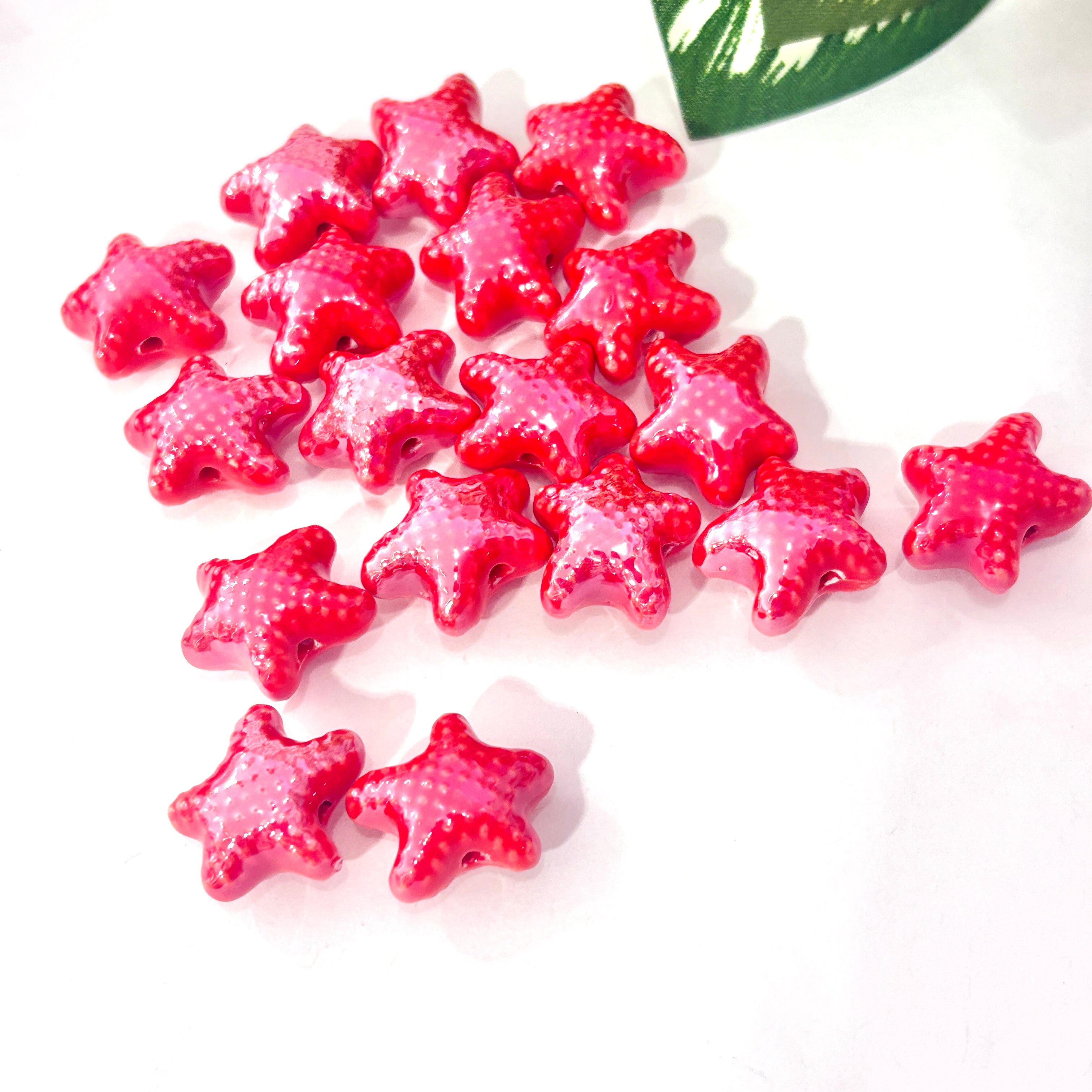 Estrella de mar porcelana