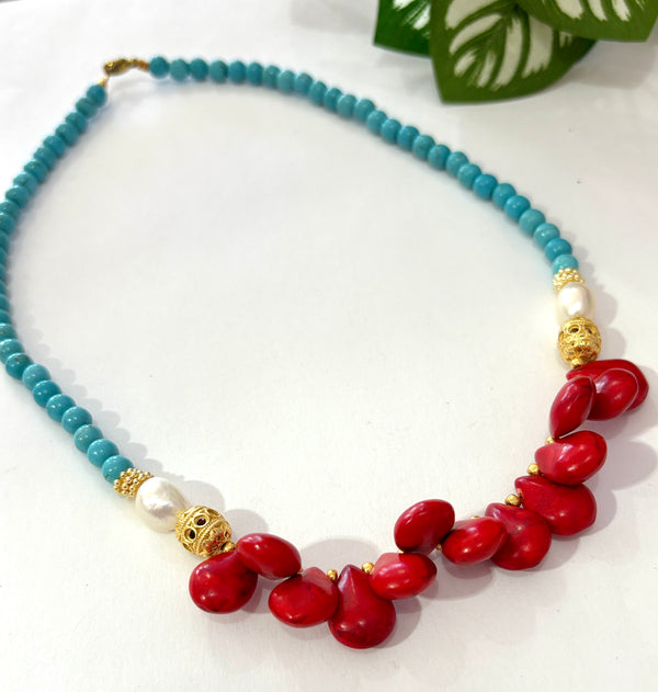 Kit #25 collar rojo y azul