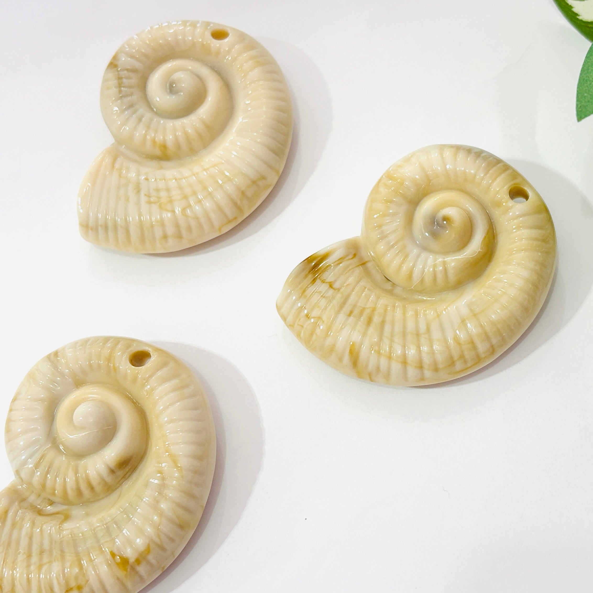 Caracol Acrilico