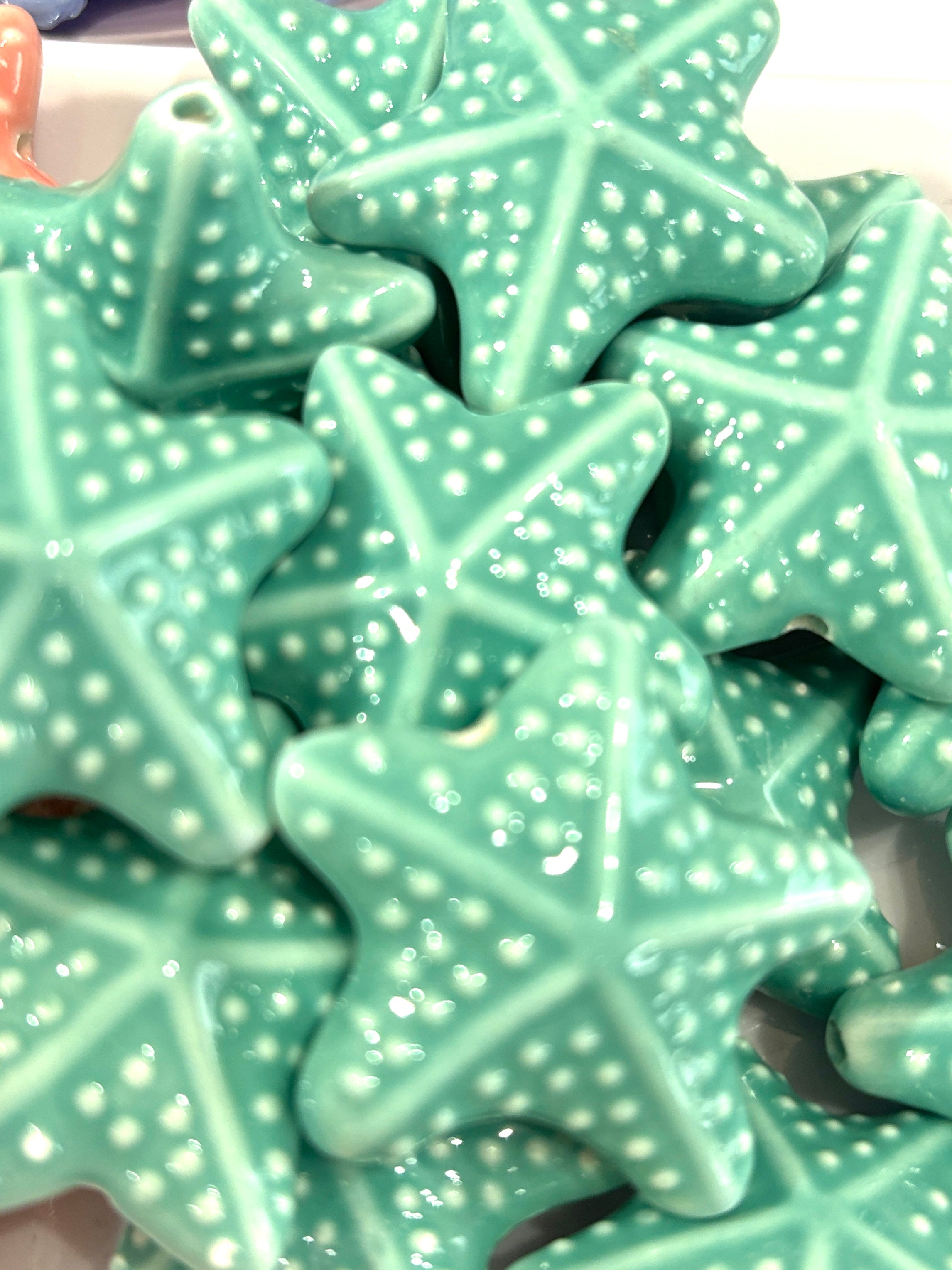 Estrella de mar porcelana