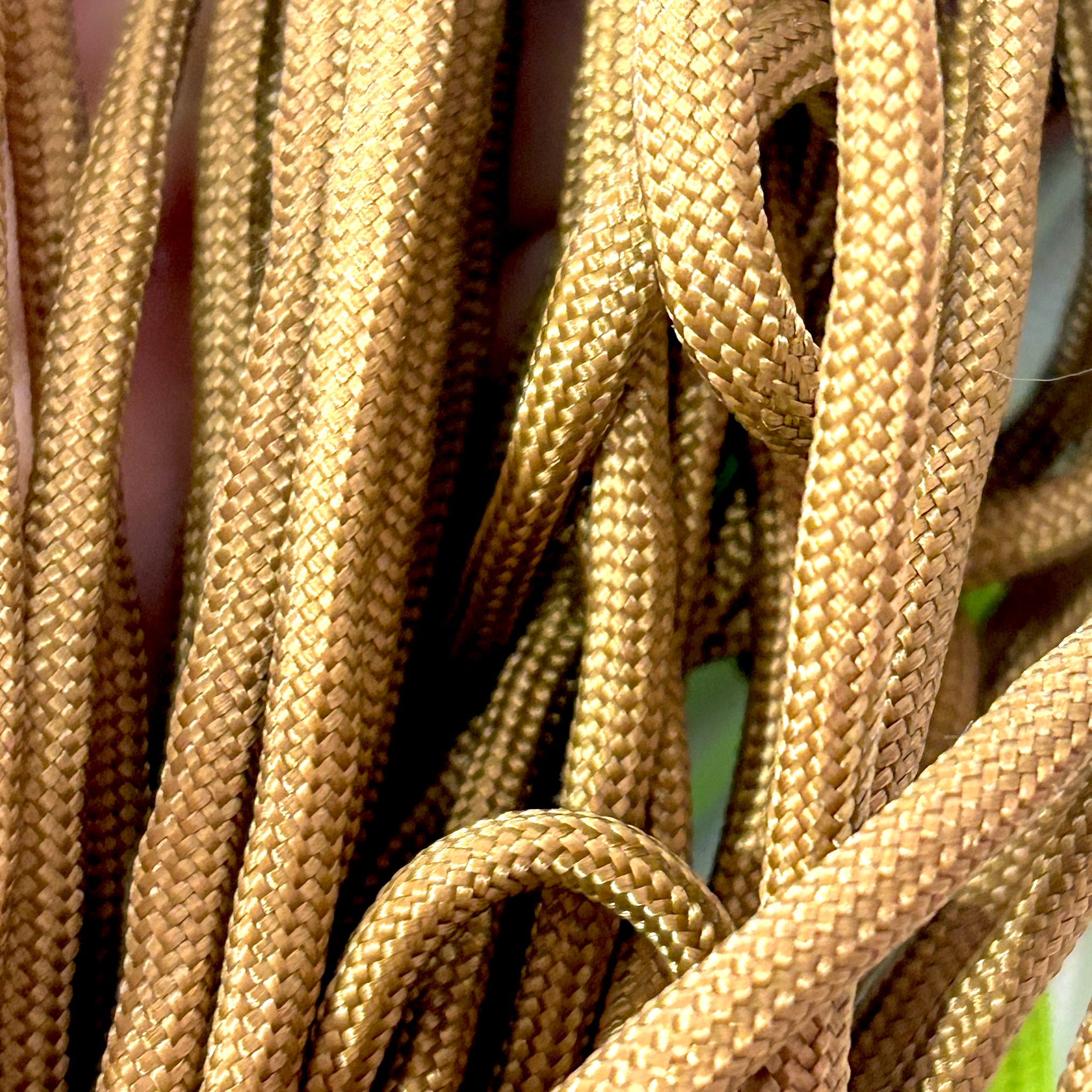 Paracord