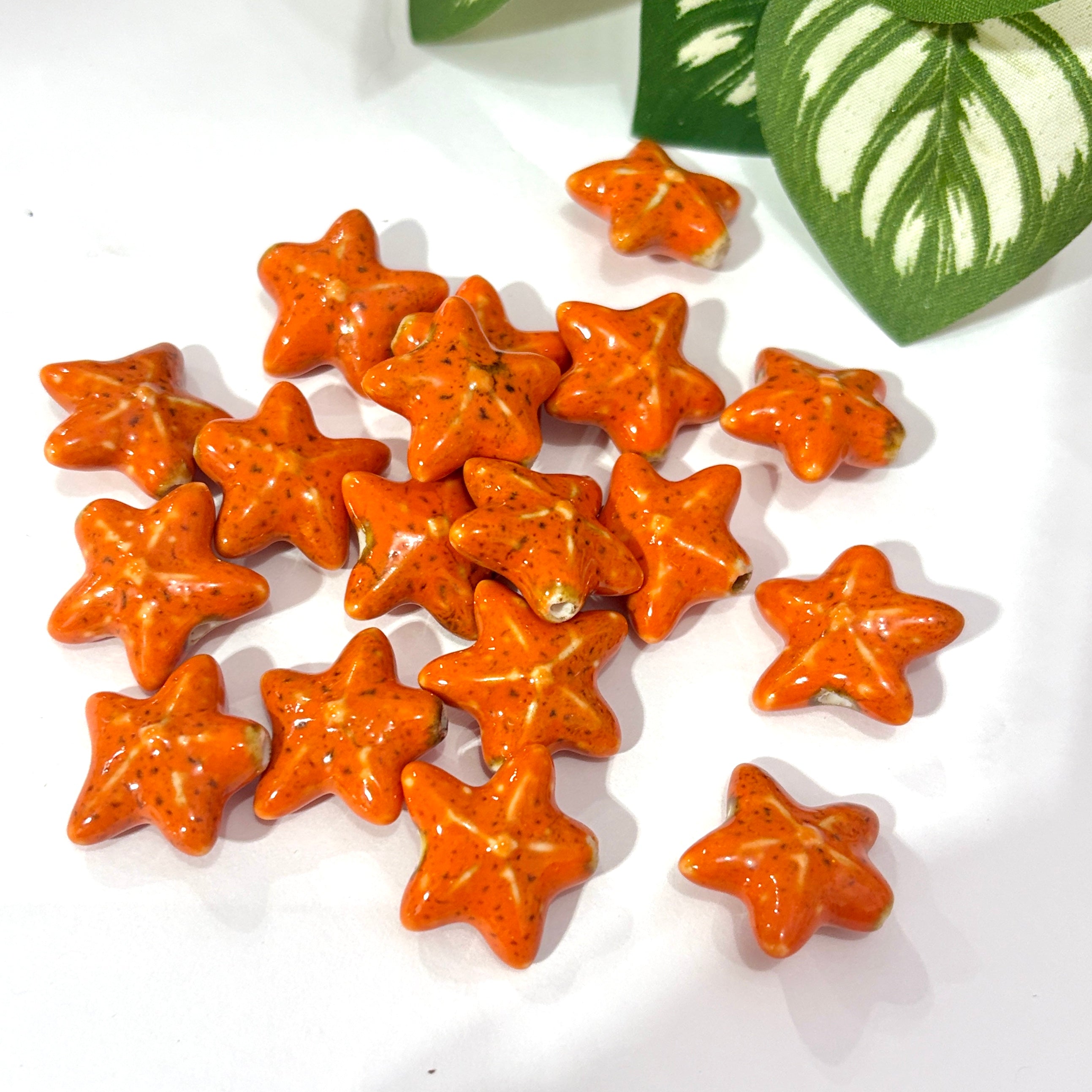Estrella de mar porcelana beads