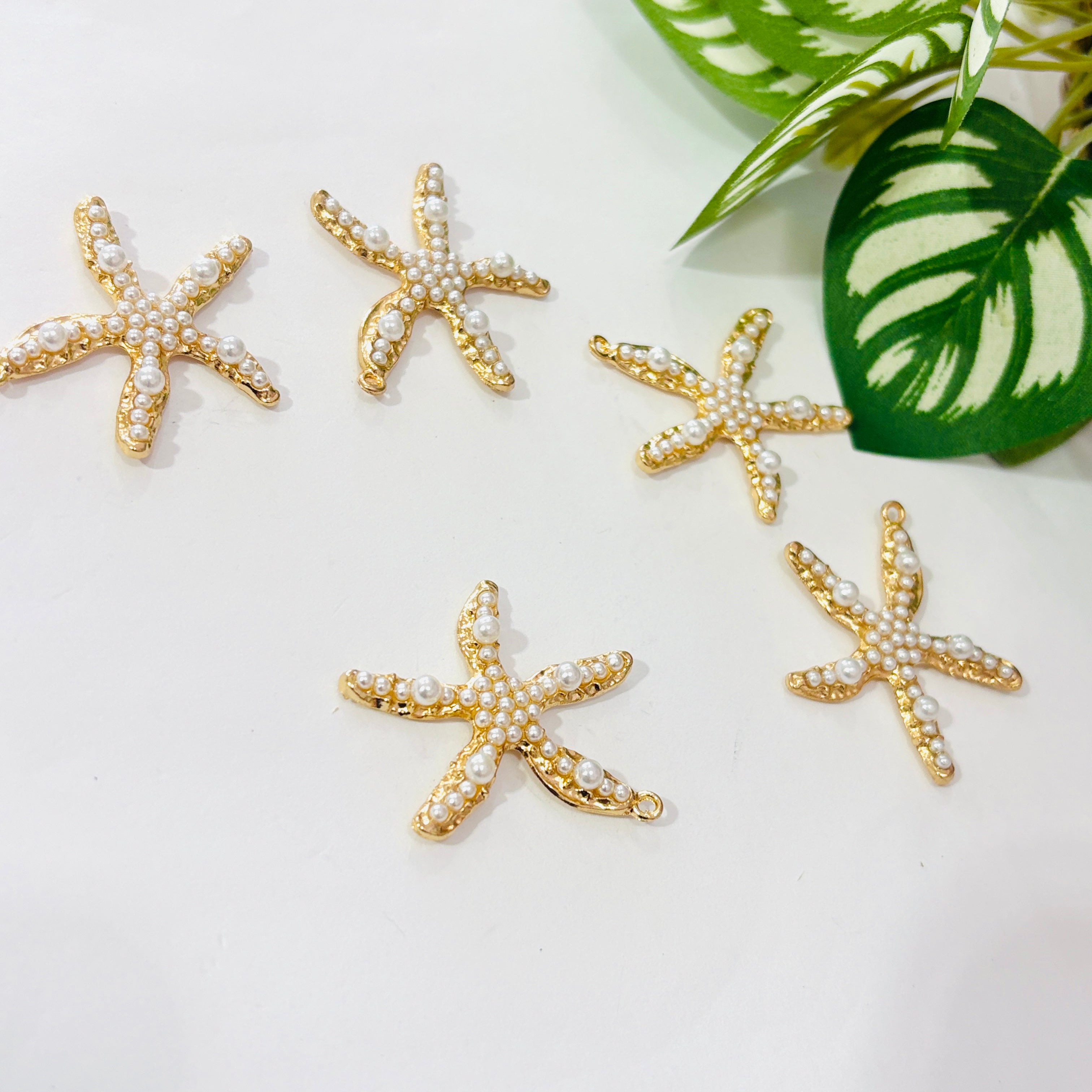 Estrella de mar perla
