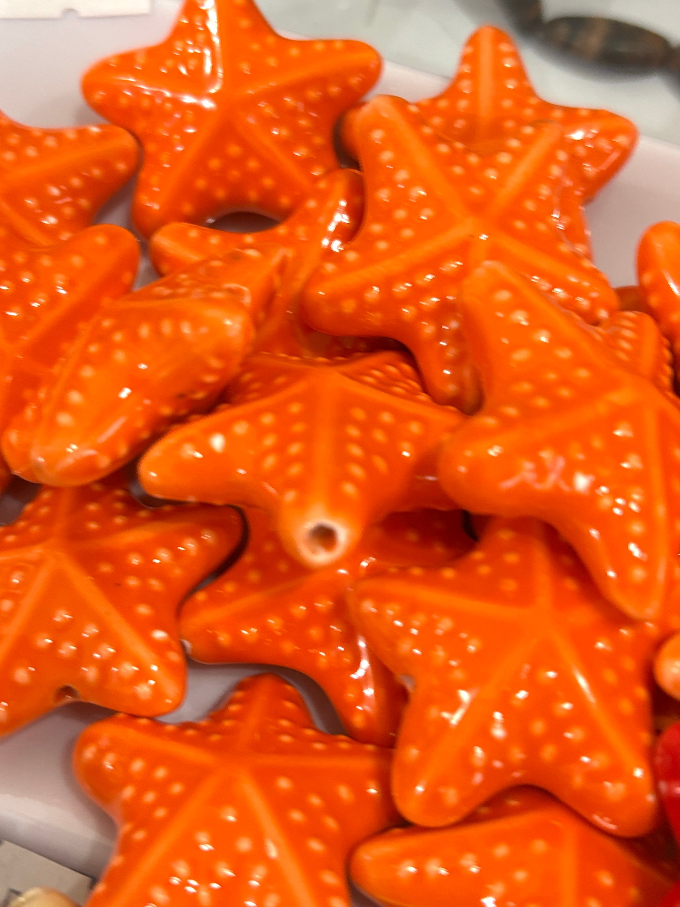 Estrella de mar porcelana