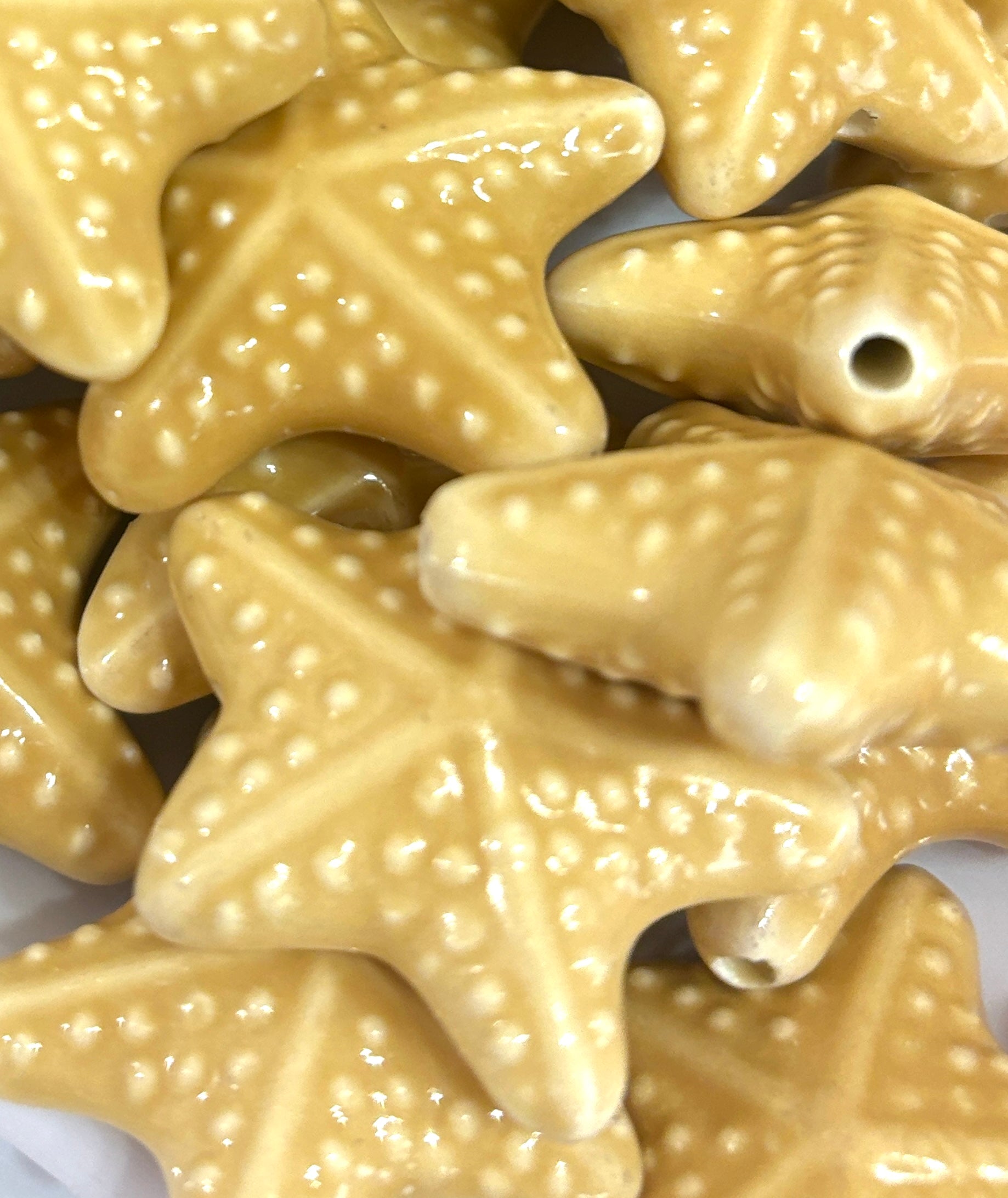 Estrella de mar porcelana