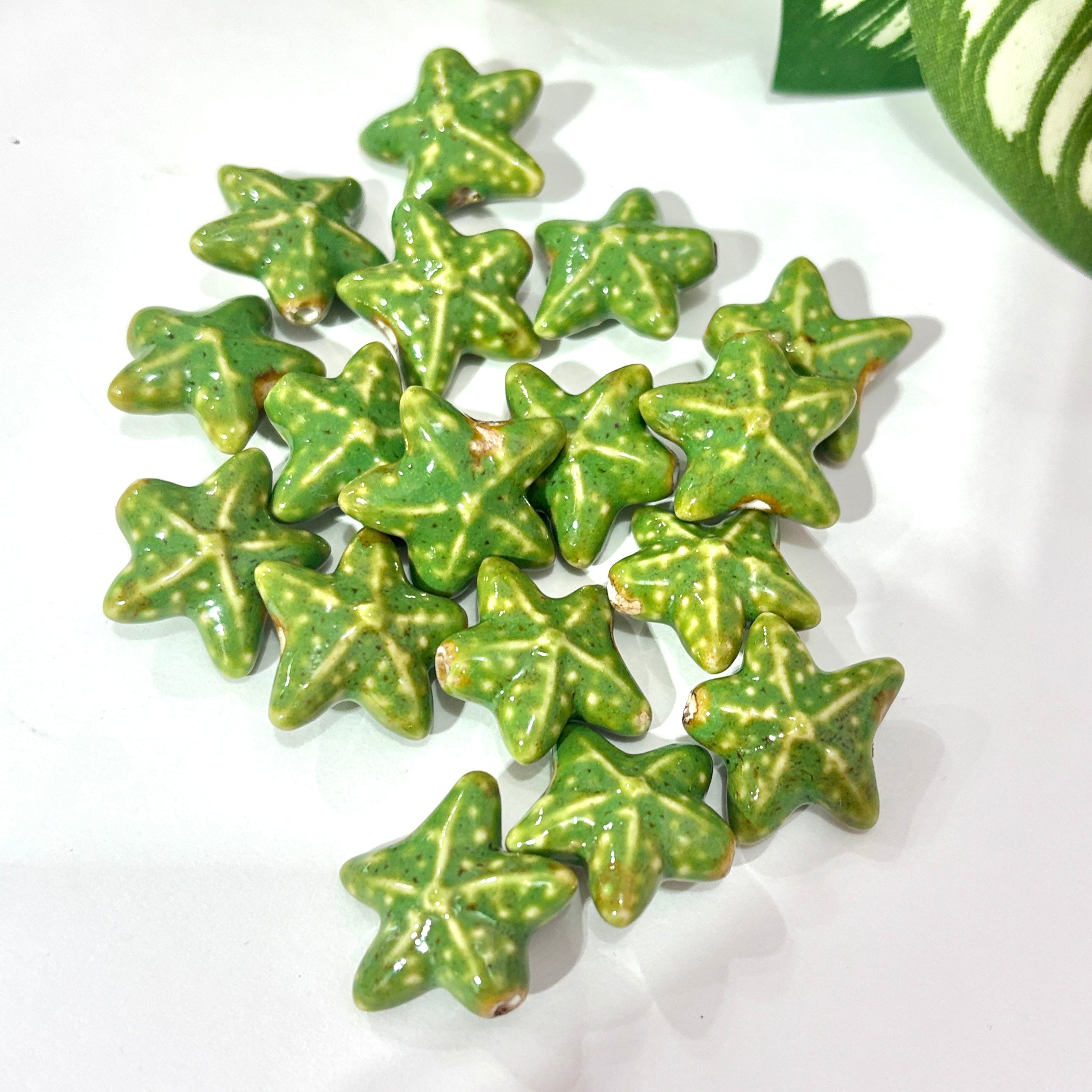 Estrella de mar porcelana beads