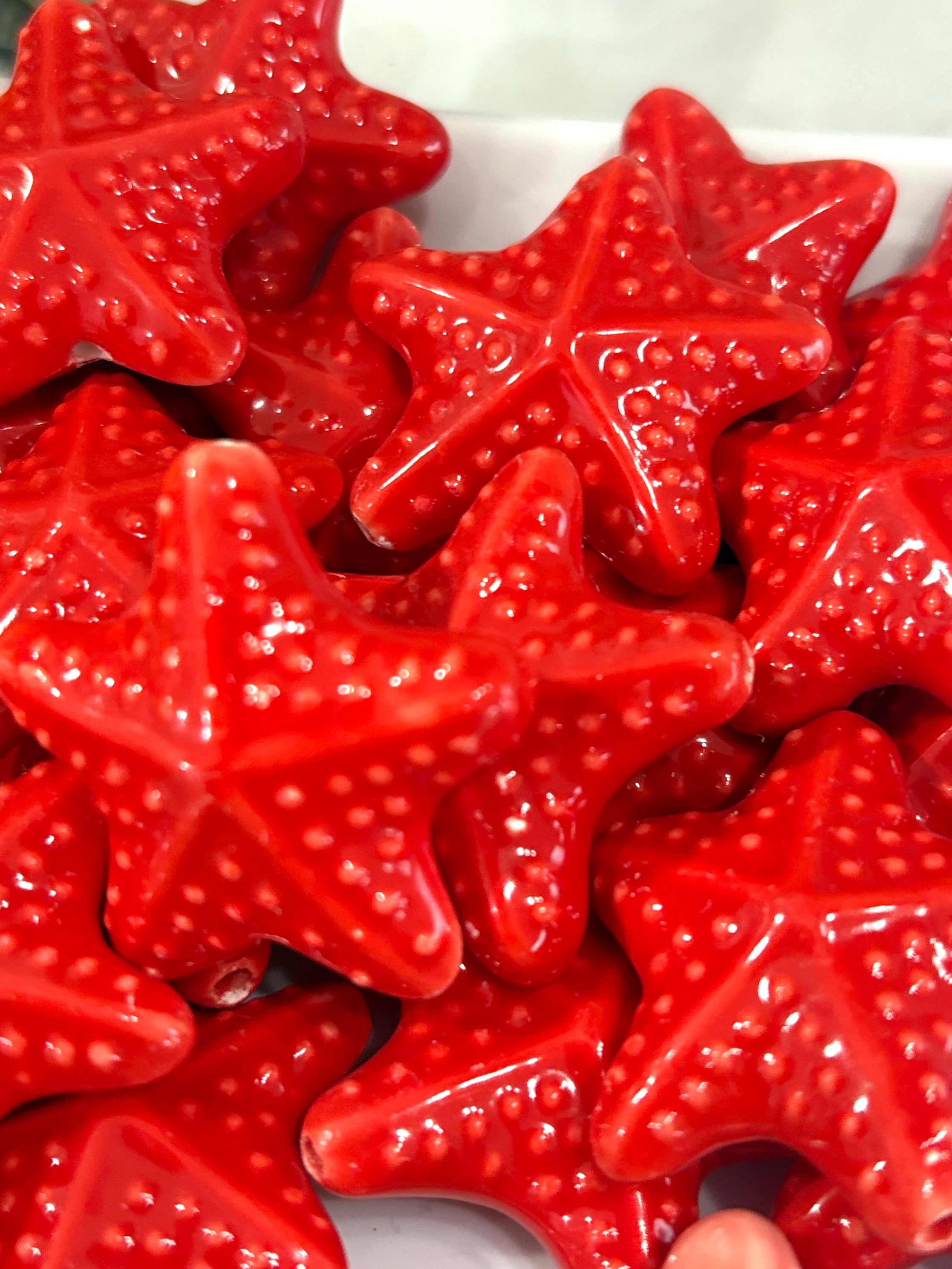 Estrella de mar porcelana
