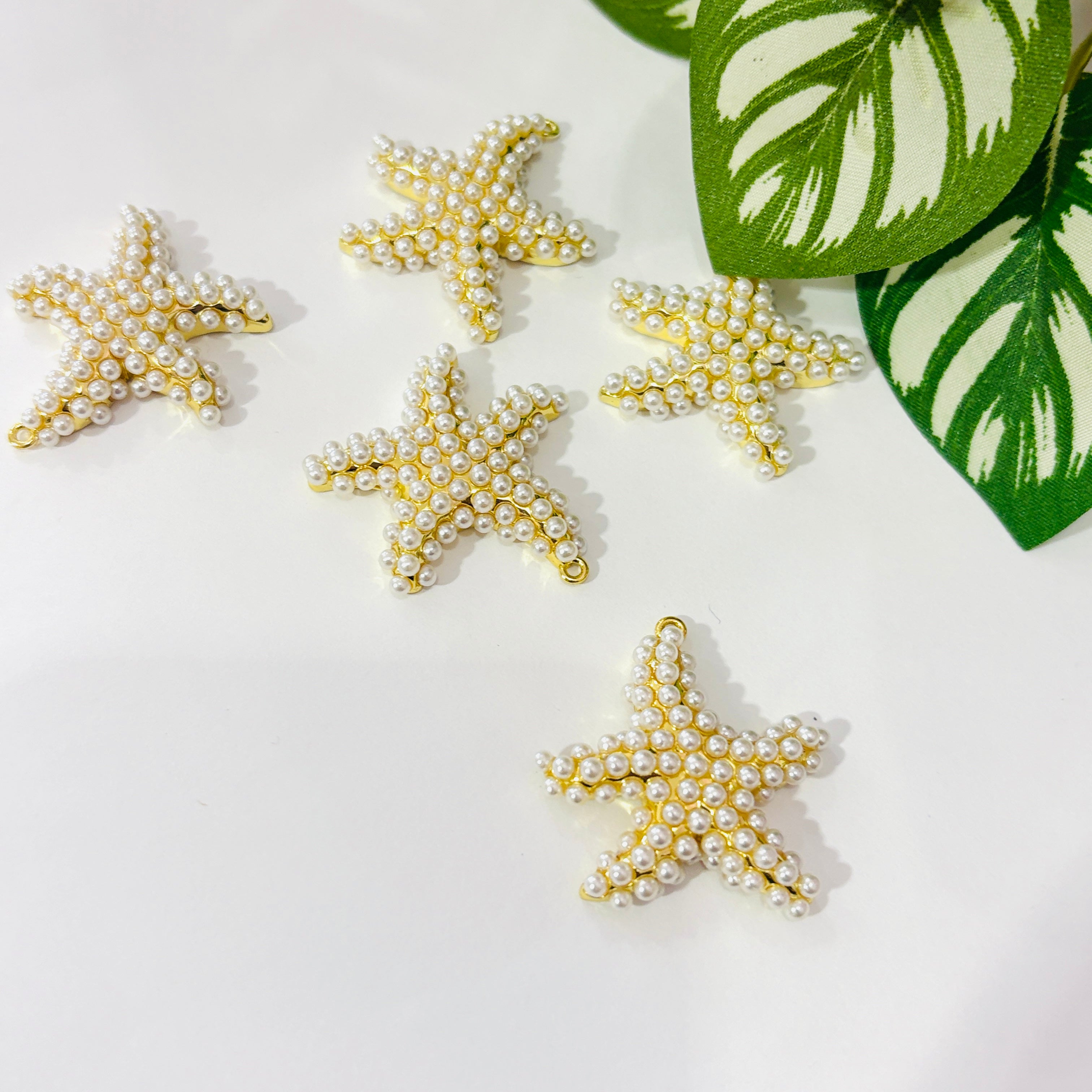 Estrella de mar perla