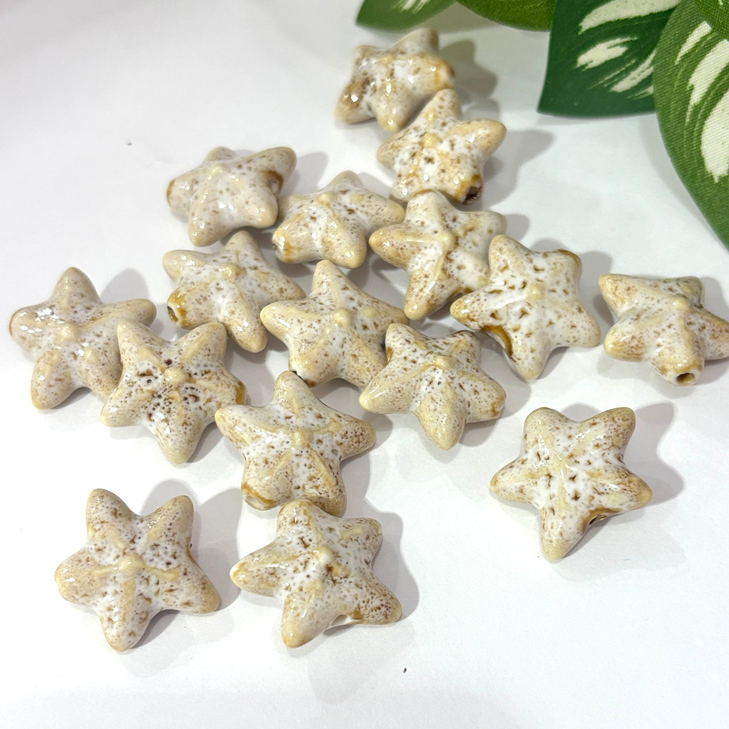 Estrella de mar porcelana beads
