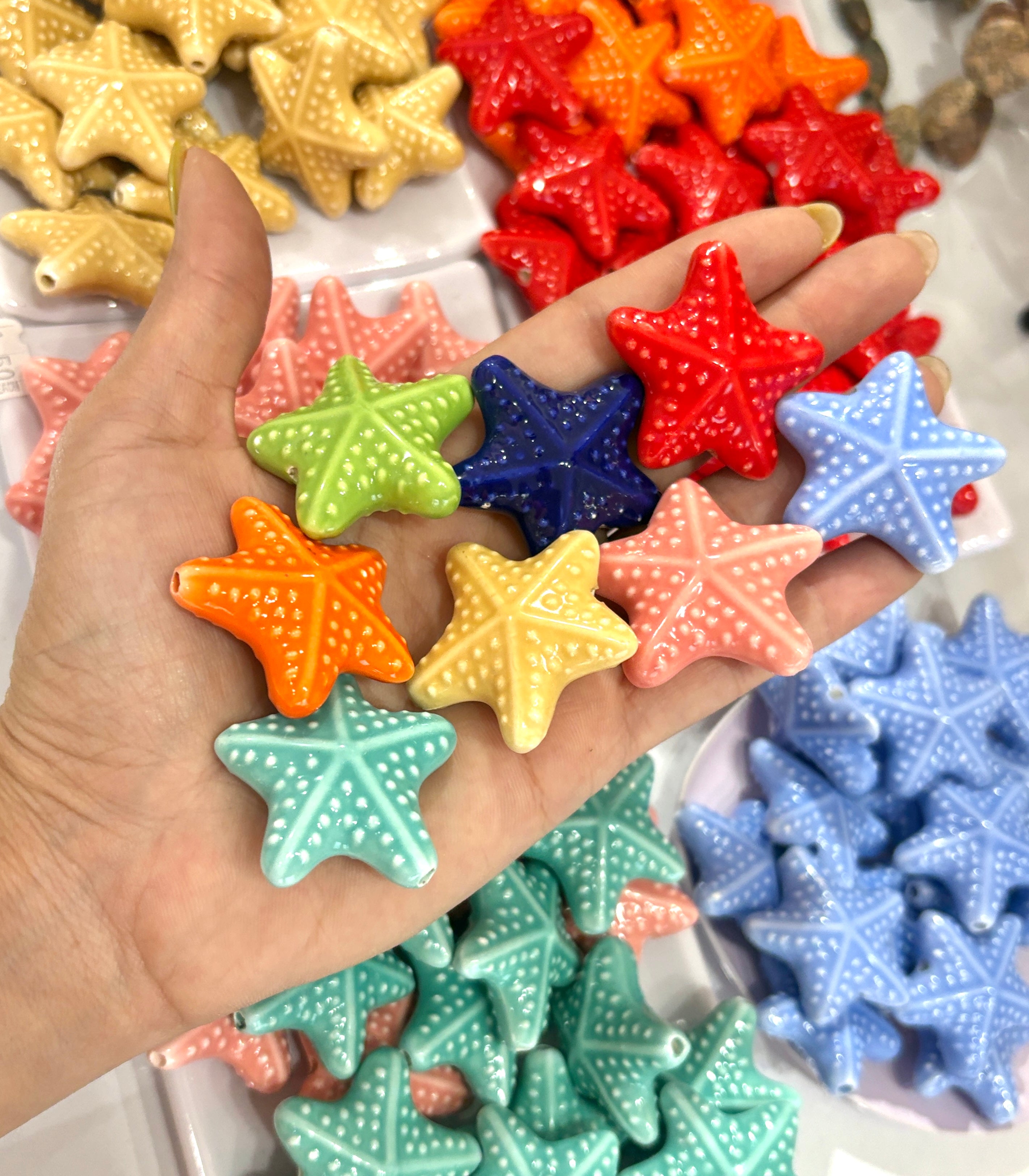 Estrella de mar porcelana