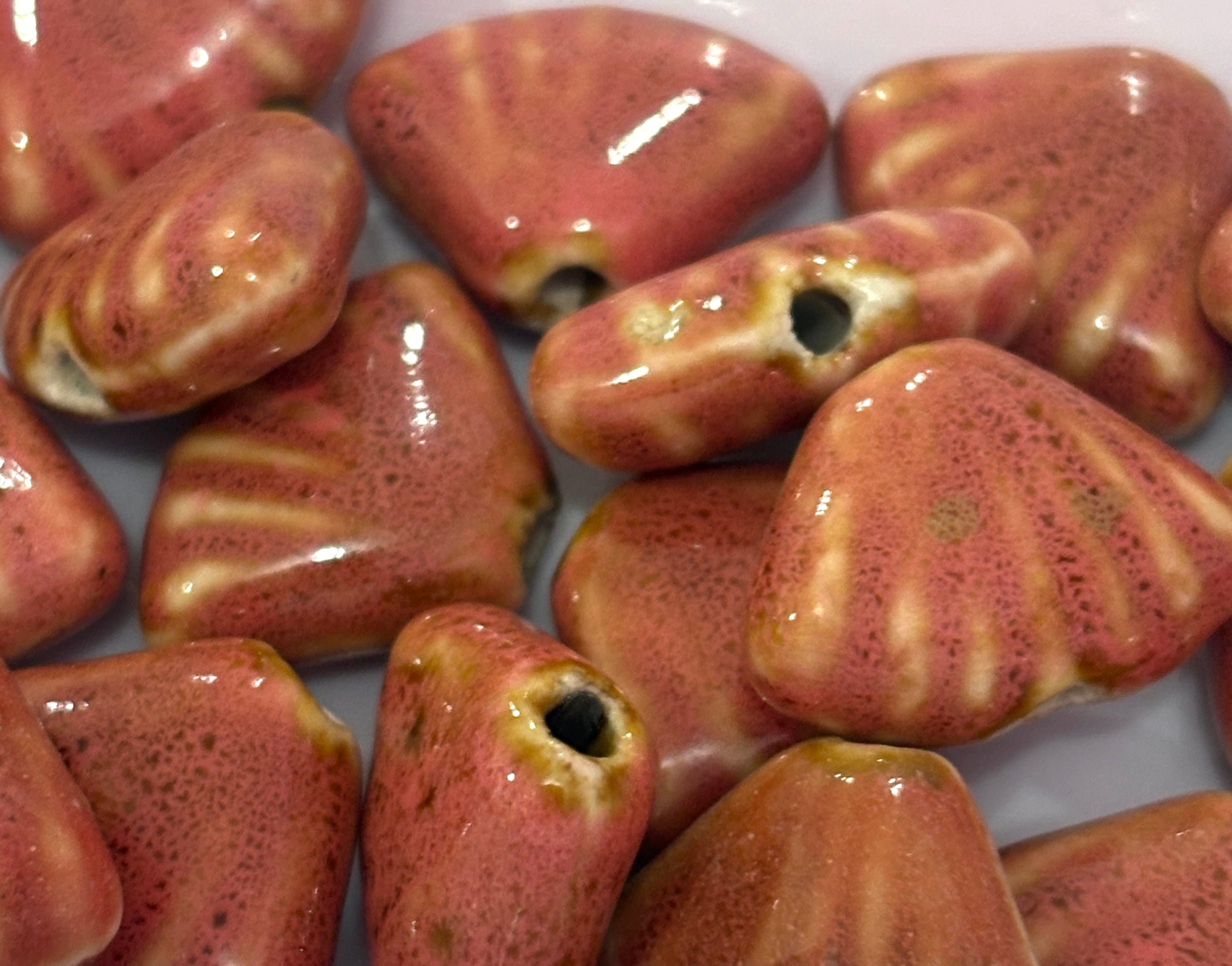 Concha porcelana