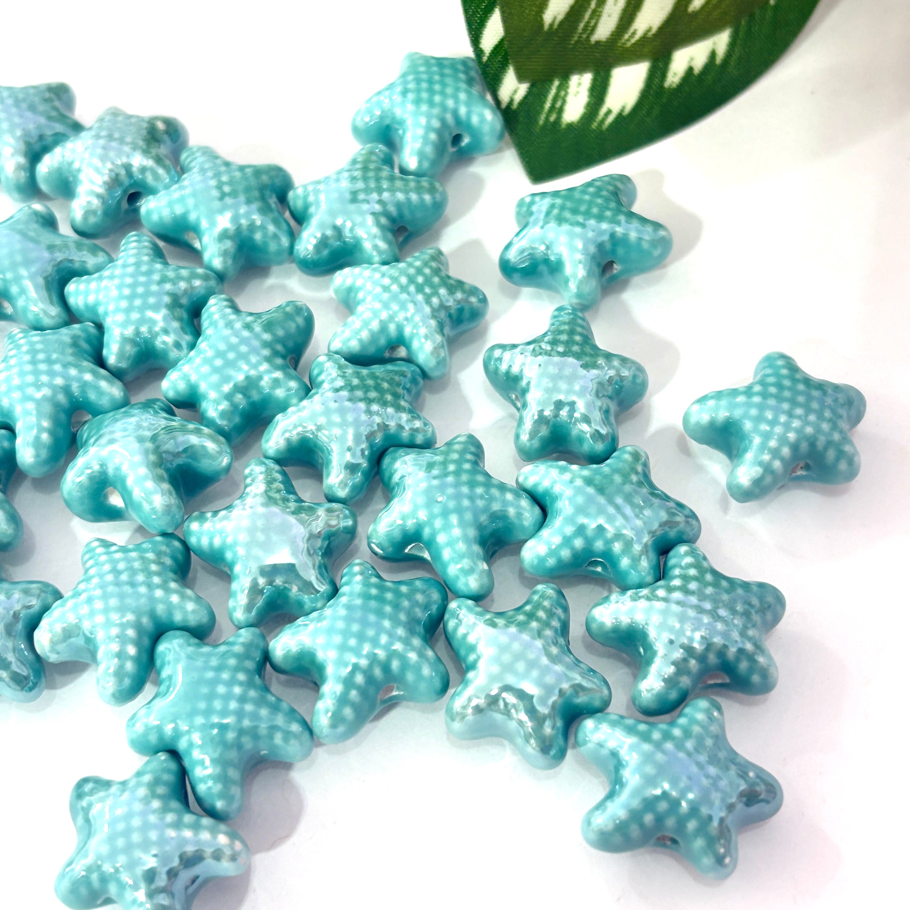 Estrella de mar porcelana