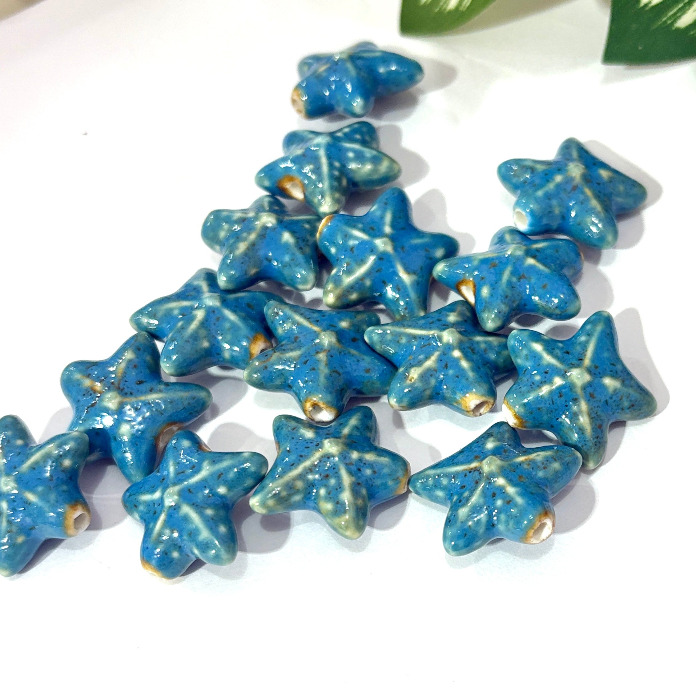 Estrella de mar porcelana beads