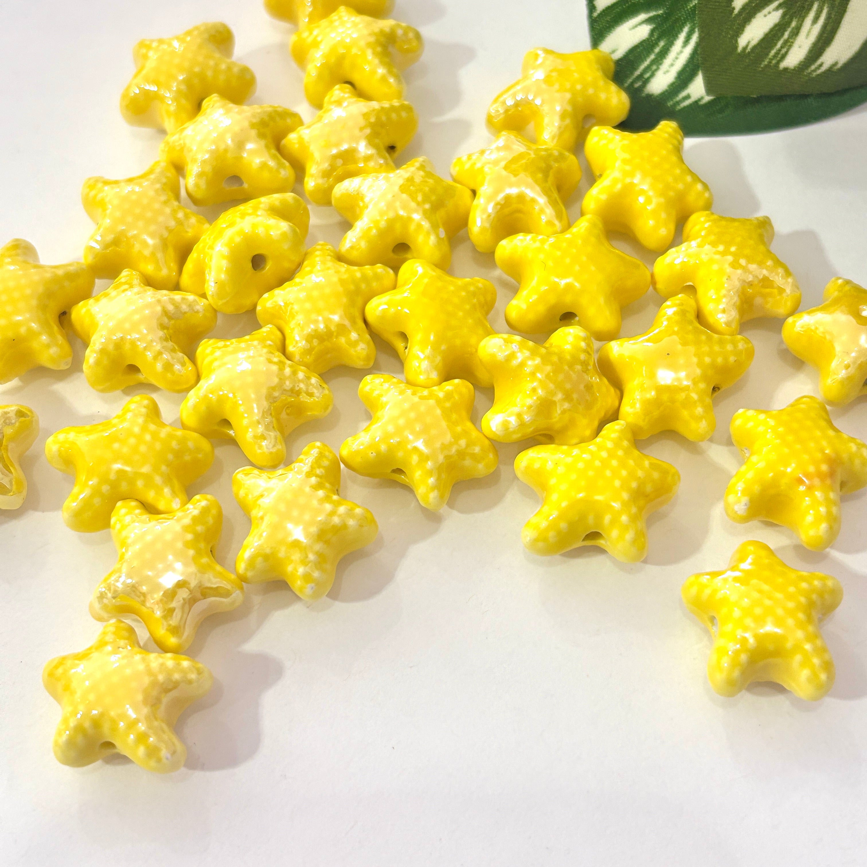 Estrella de mar porcelana