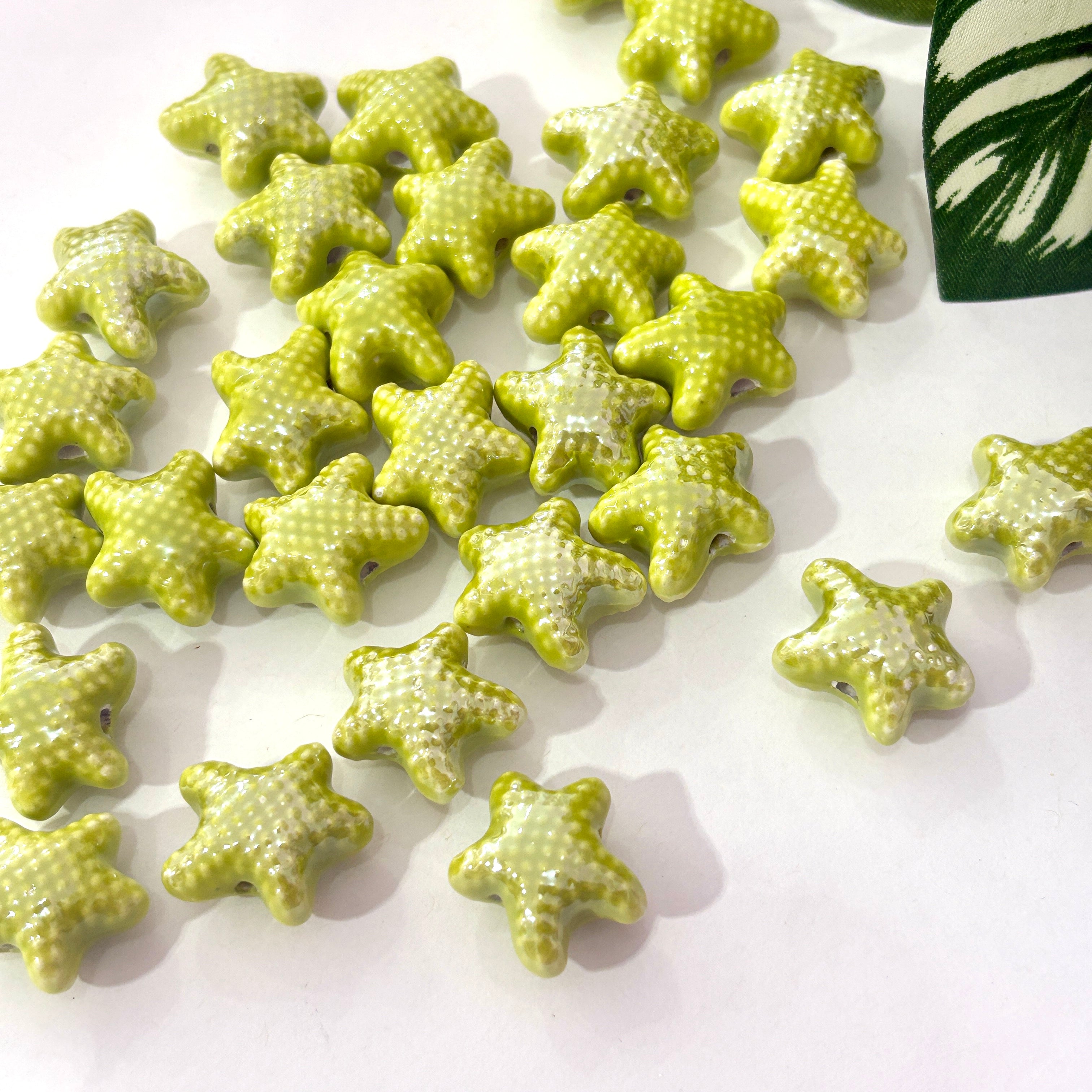Estrella de mar porcelana