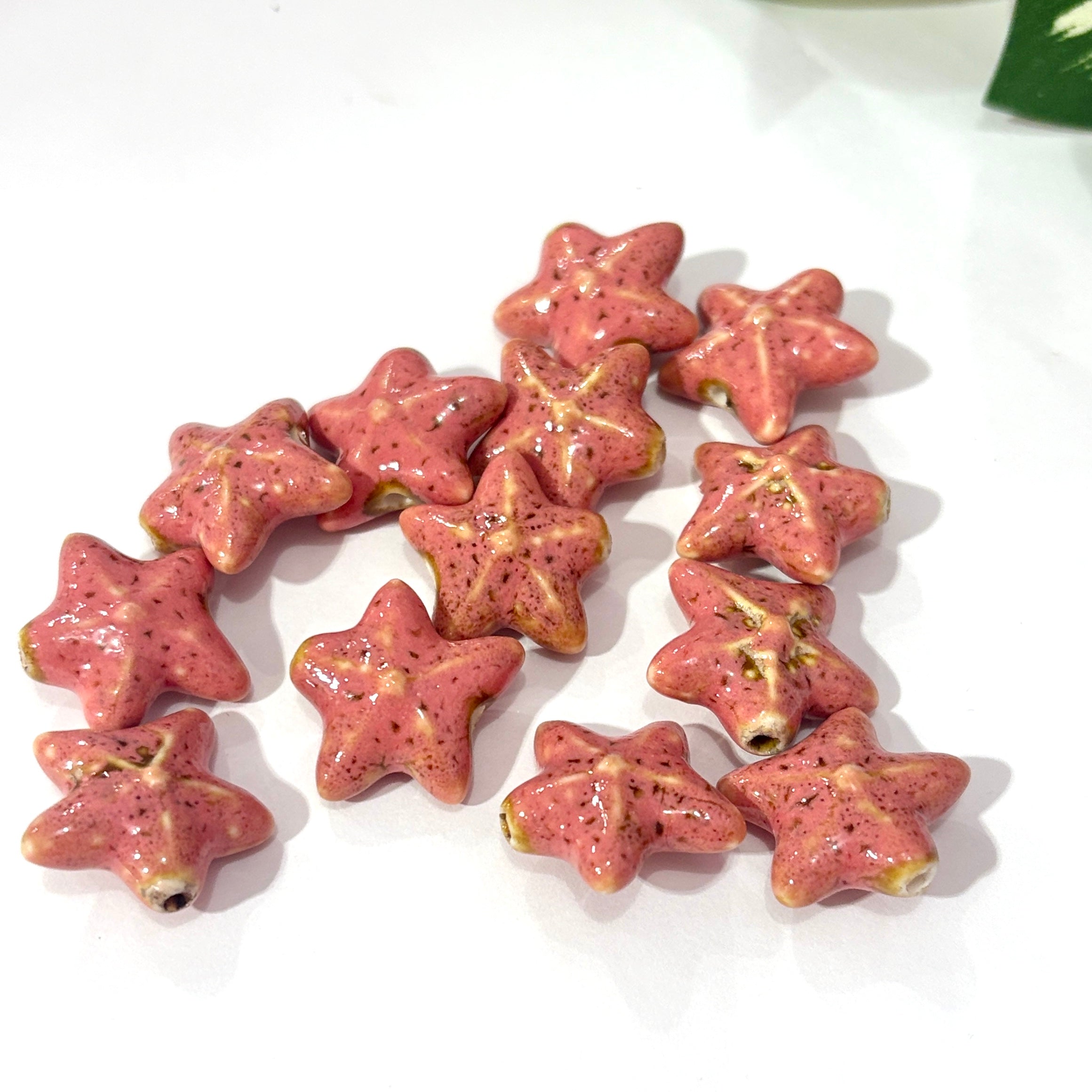 Estrella de mar porcelana beads