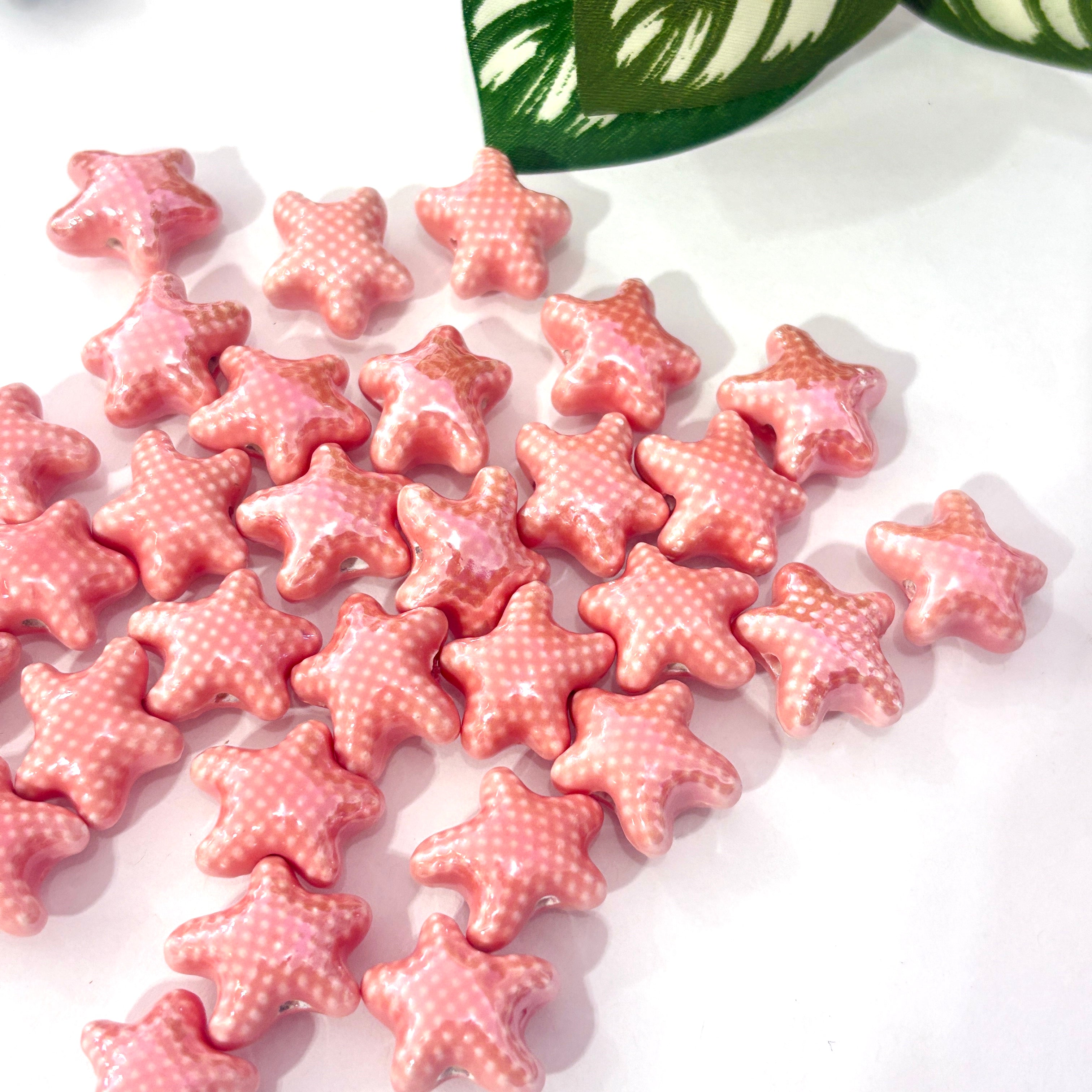 Estrella de mar porcelana