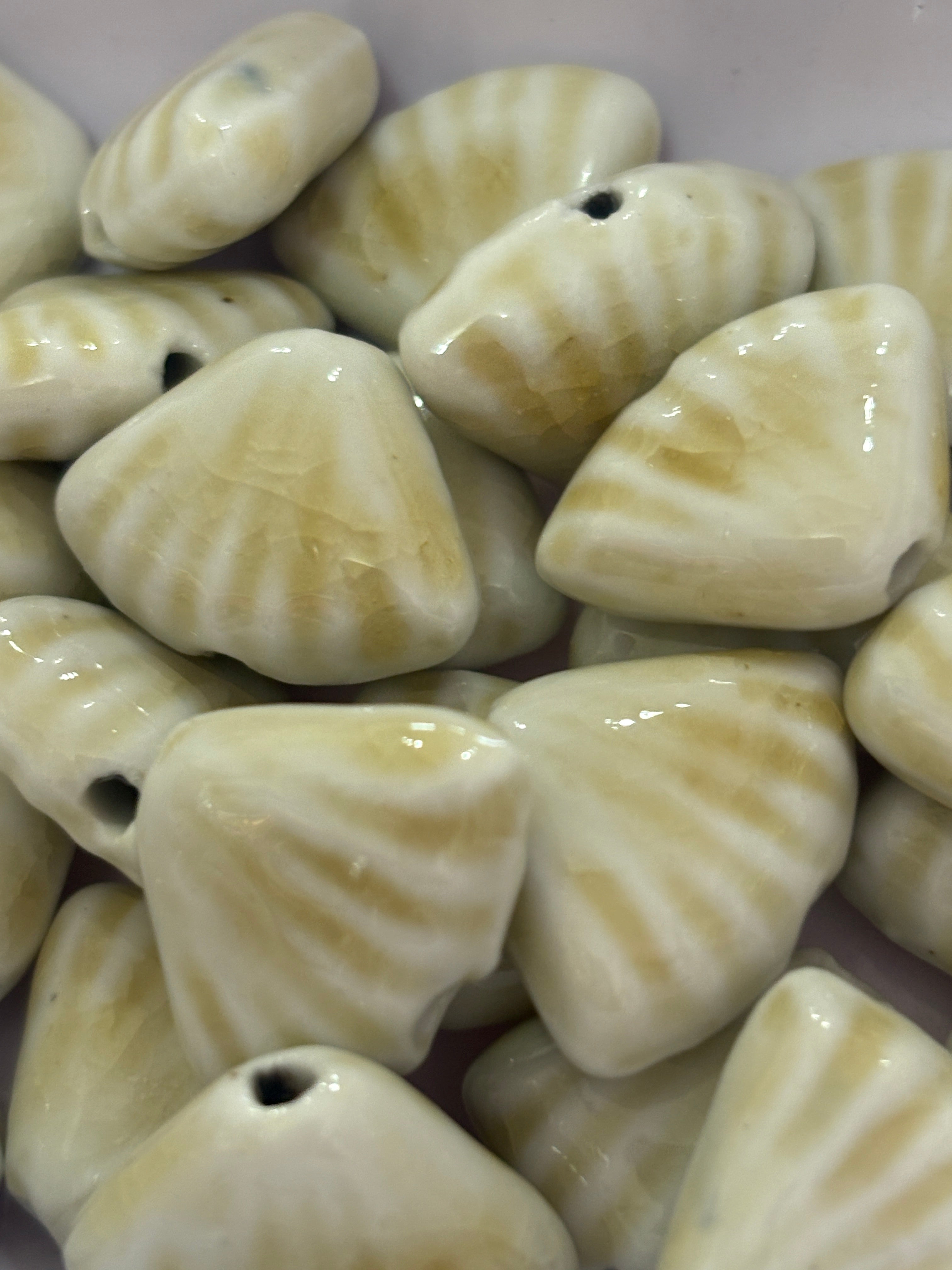 Concha porcelana
