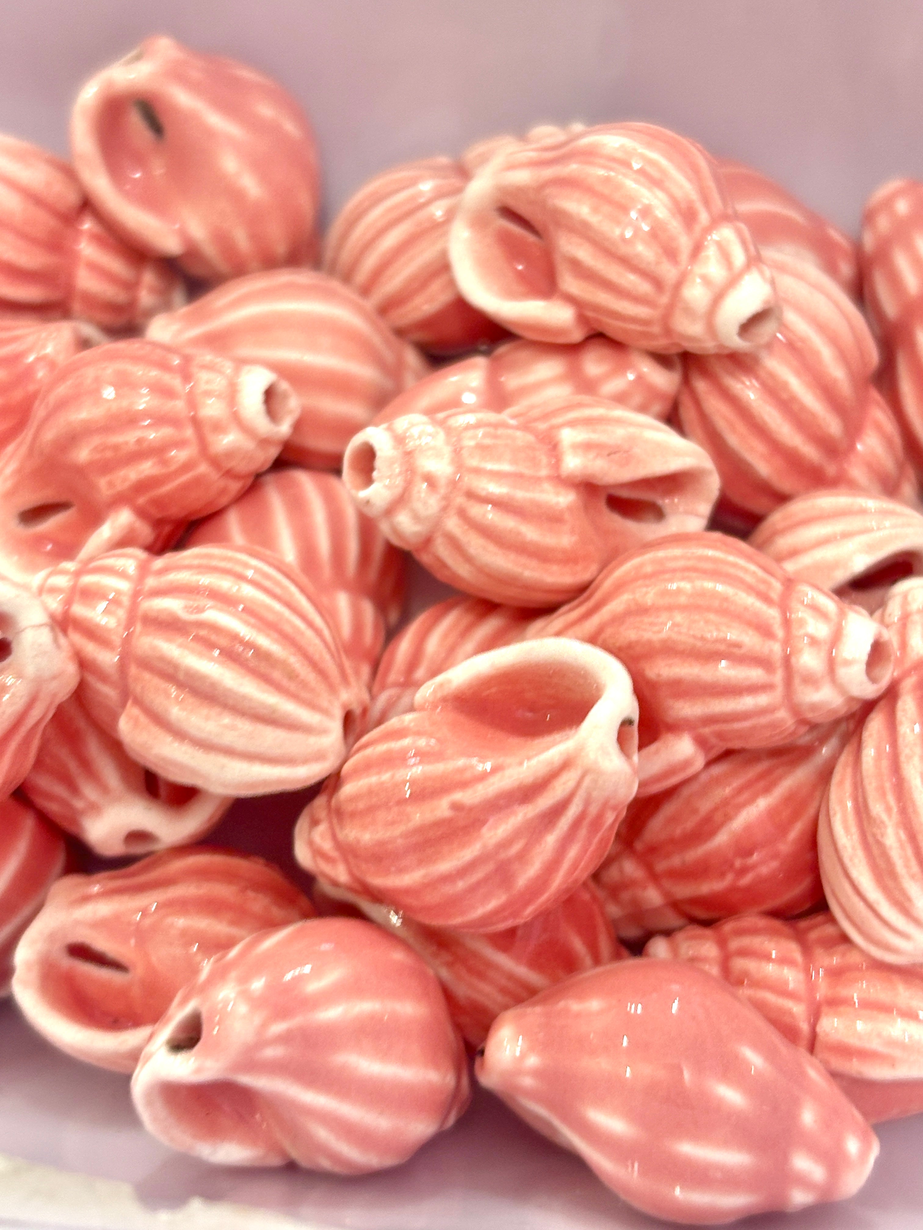 Caracol porcelana