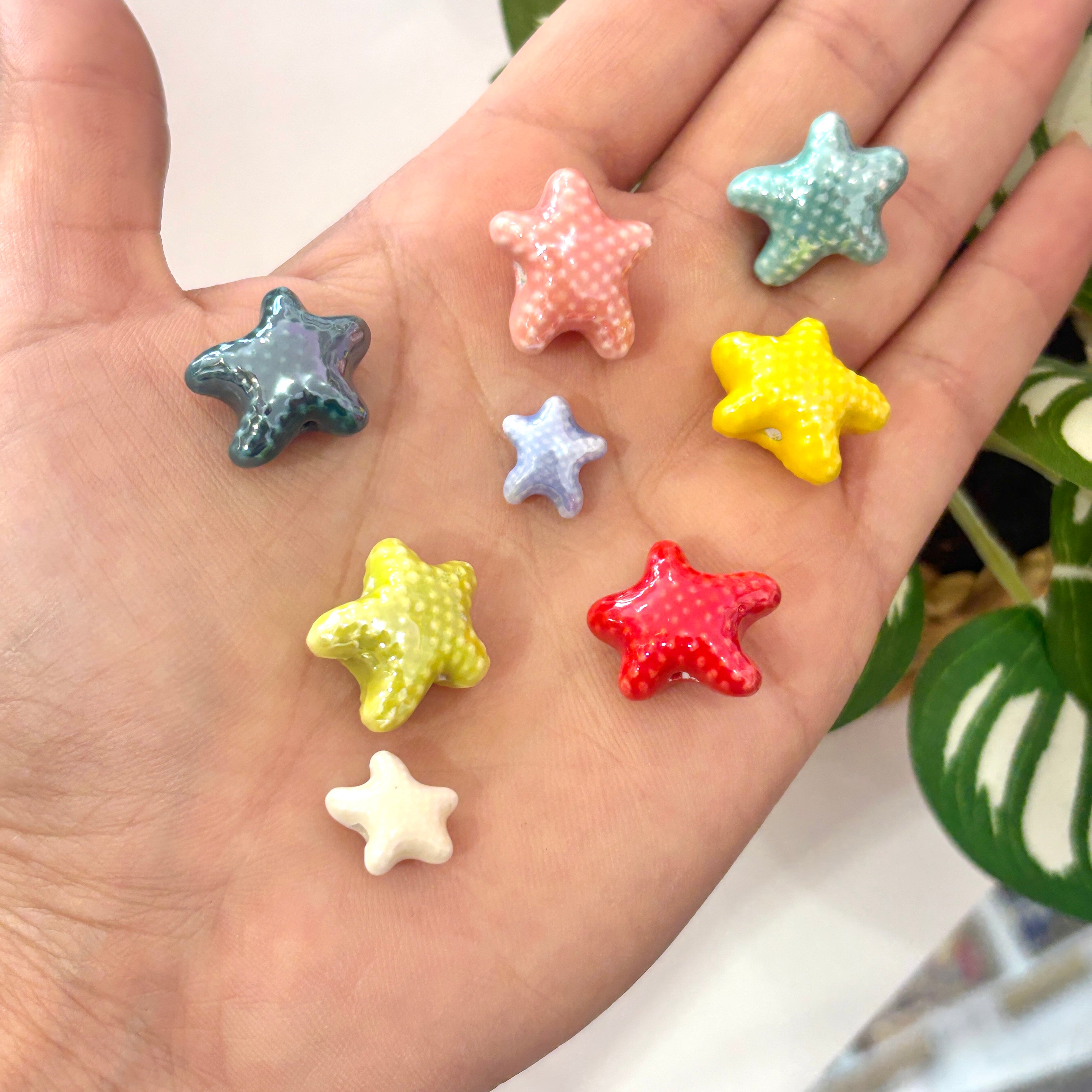 Estrella de mar porcelana