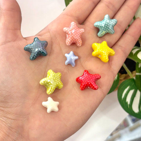 Estrella de mar porcelana