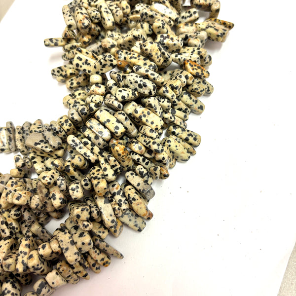 Jasper Dalmata